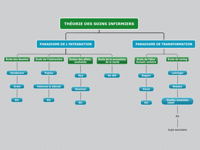 THÉORIE DES SOINS INFIRMIERS - Carte Mentale