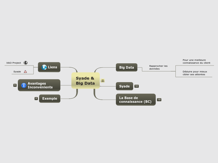 Syade &amp; Big Data - Carte Mentale