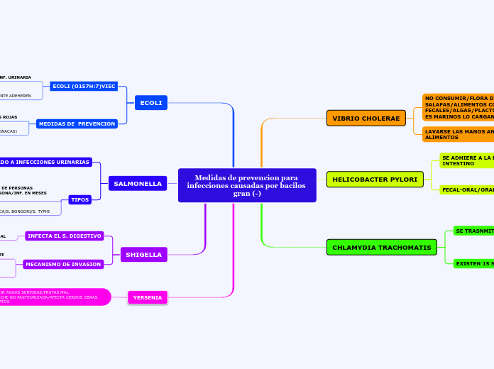 Medidas de prevencion para infecciones ...- Mapa Mental