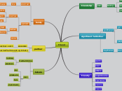 Friend - Mind Map