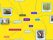 Loomad - Mind Map