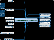 Akima Management Services - Mind Map