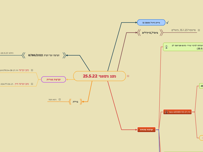 מצב משפטי 25.5.22 - Mind Map