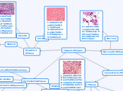 Tissue Types - Mind Map