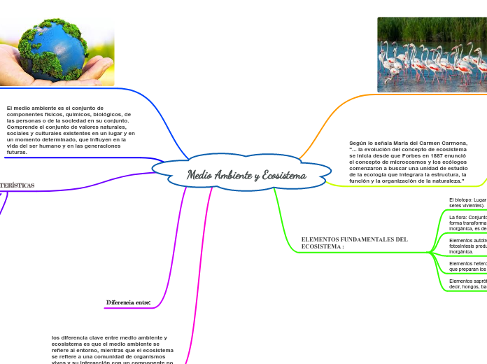 Norteamérica Currículum Cadera Medio Ambiente y Ecosistema - Mind Map