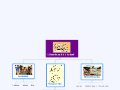 Literatura de ciudad - Mapa Mental