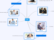 SIM - Carte Mentale