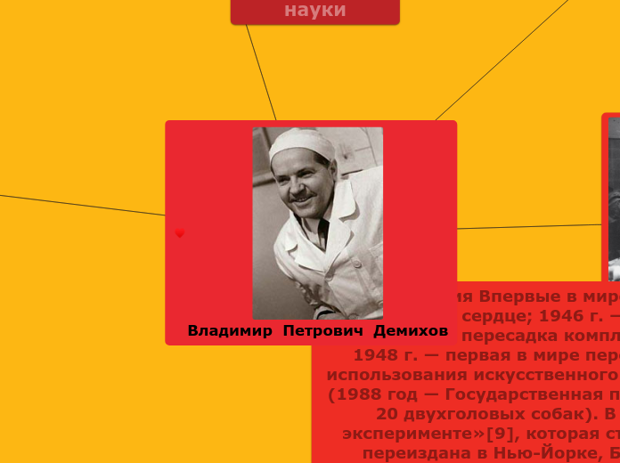 Владимир  Петрович  Демихов - Мыслительная карта