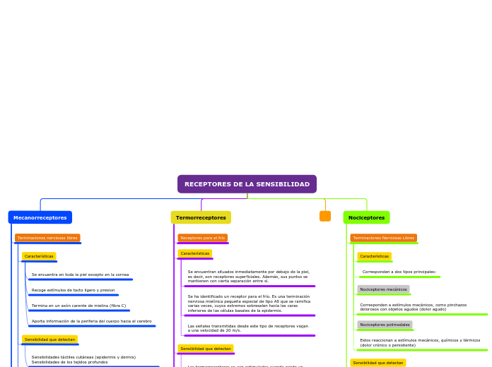 RECEPTORES DE LA SENSIBILIDAD - Mapa Mental