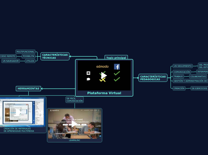 Plataforma Virtual - Mapa Mental