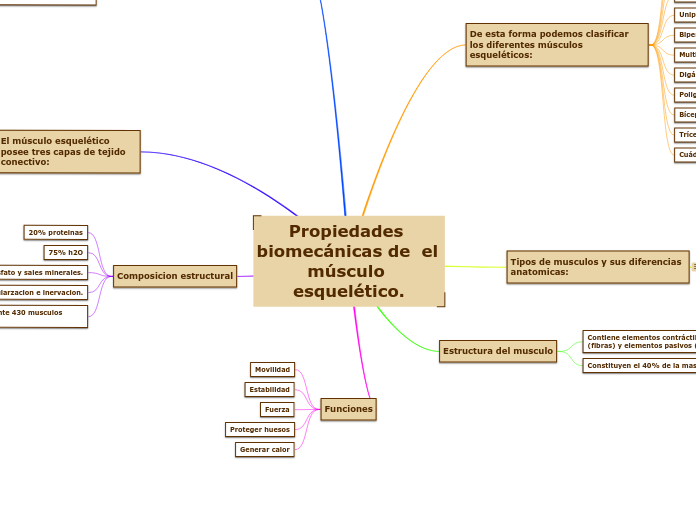 Propiedades biomecánicas de  el músculo esquelético.