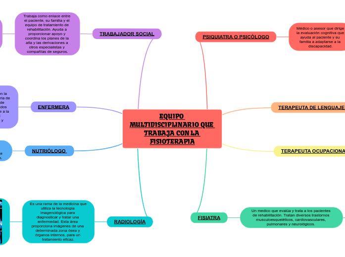 EQUIPO MULTIDISCIPLINARIO QUE TRABAJA CON LA FISIOTERAPIA