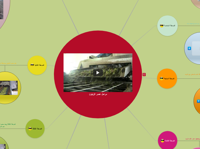 مراحل عصر الزيتون - Mind Map
