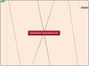 SEMIOLOGIA CARDIOVASCULAR - Mapa Mental