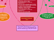 Economic science - Mind Map