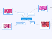 Types of Tissue - Mind Map