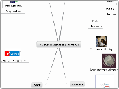 Dr. Ruchi Saxena Biosketch - Mind Map