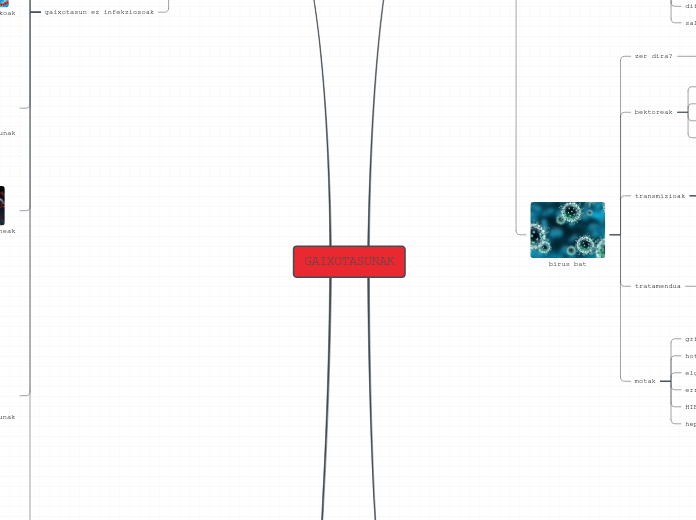 GAIXOTASUNAK - Mind Map