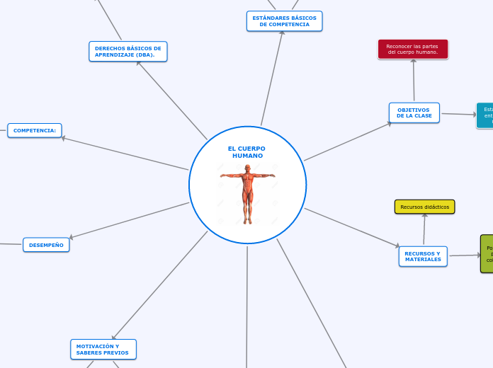 Objetivos Del Cuerpo Humano