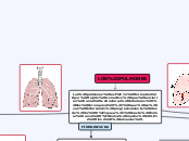 LOS PULMONES - Mapa Mental
