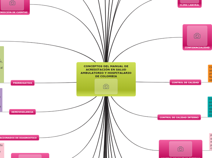 29 CONCEPTOS - Mind Map