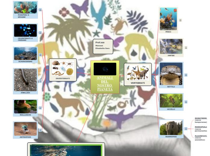ANIMALI DEL NOSTRO PIANETA