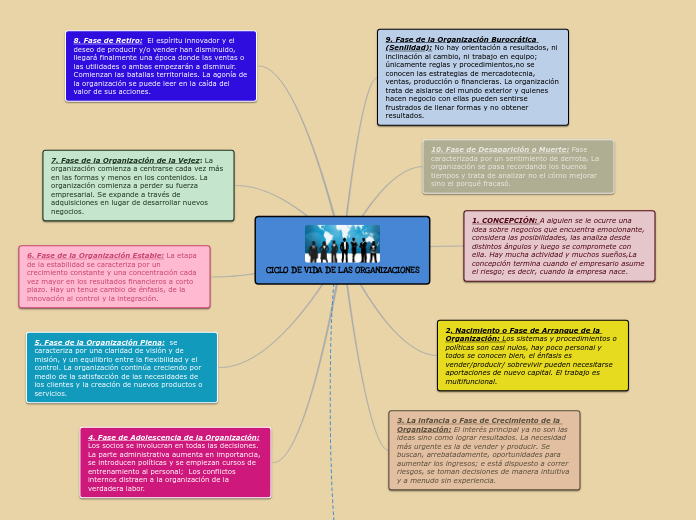 CICLO DE VIDA DE LAS ORGANIZACIONES - Mapa Mental