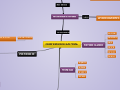 COMPRENCION LECTORA - Mapa Mental