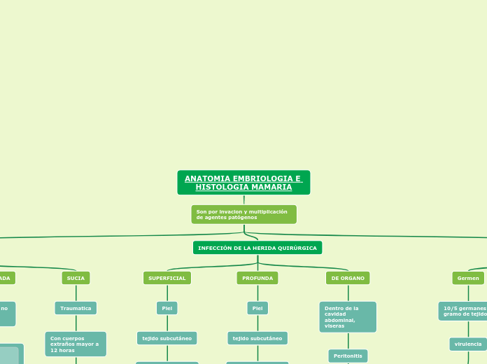 ANATOMIA EMBRIOLOGIA E HISTOLOGIA MAMAR...- Mapa Mental