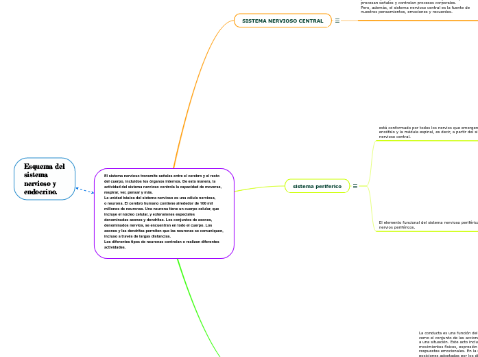 Esquema del sistema
nervioso y
endocrino.