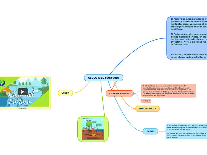 CICLO DEL FÓSFORO - Mapa Mental