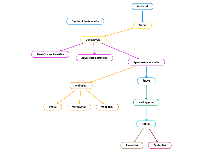 Gyvūnų kilmės medis - Mind Map