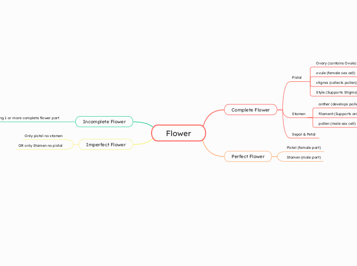 Flower