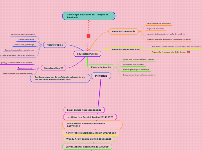 Mineduc - Mapa Mental
