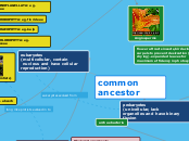 common ancestor - Mind Map