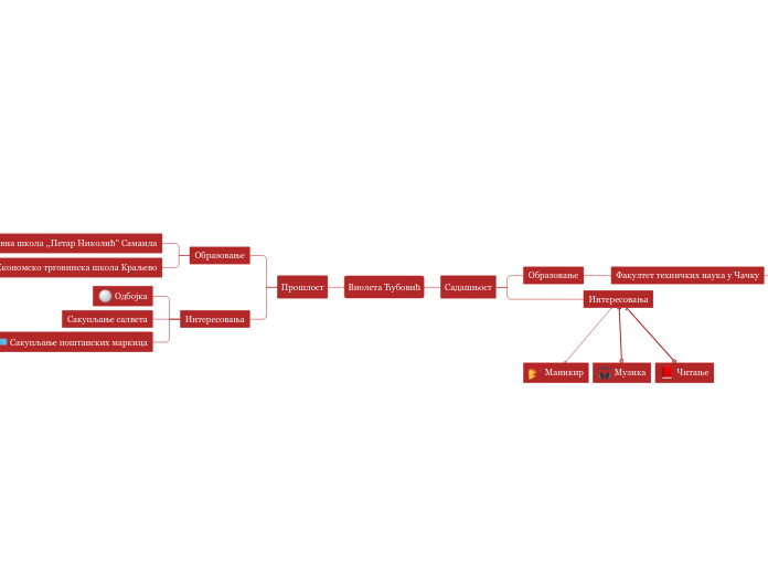 Виолета Ћубовић - Mind Map