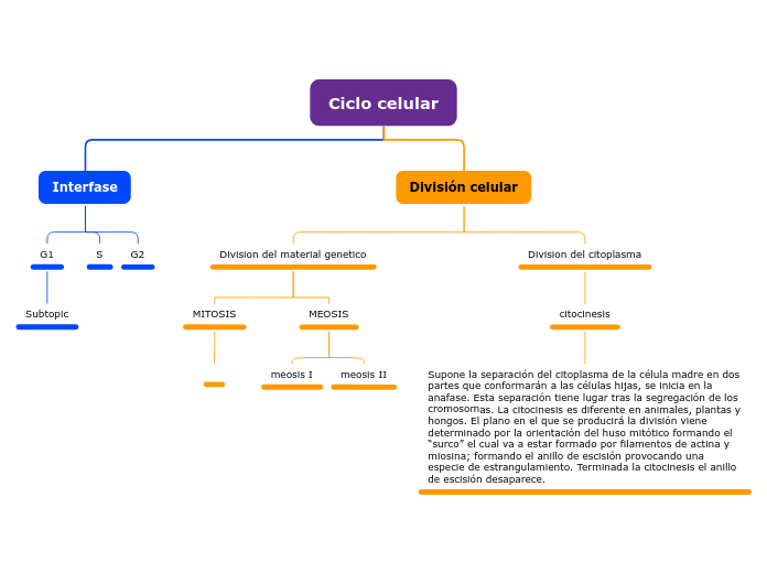 Ciclo celular - Mapa Mental