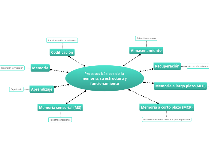 Procesos básicos de la memoria, su estructura y funcionamiento