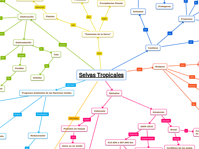 Selvas Tropicales