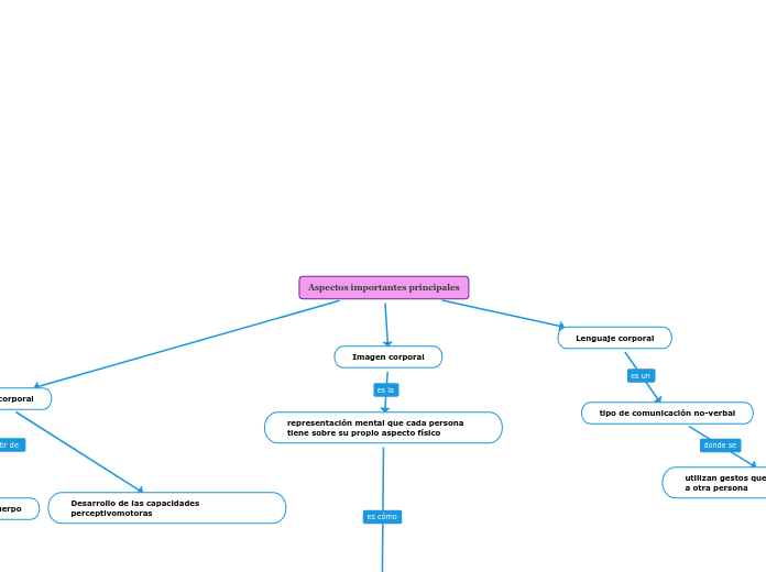 Aspectos importantes principales - Mind Map