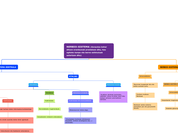 NERBIO-SISTEMA (Gorputza behar dituen eran...- Mind Map