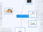 מפת החשיבה- זיגמונד פרוייד - Mind Map