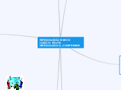 METODOLOGÍA MARCO LOGICO: PAUTA METODOL...- Mapa Mental
