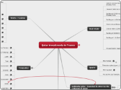 Qatar Investments in France - Mind Map