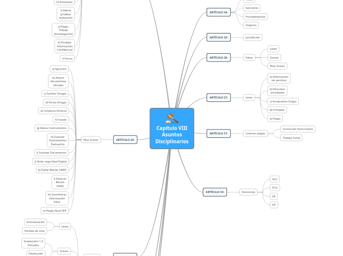 Capítulo VIII
Asuntos
Disciplinarios - Mapa Mental