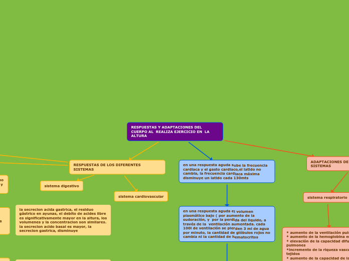 RESPUESTAS Y ADAPTACIONES DEL CUERPO AL...- Mapa Mental