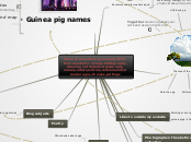 Share stories about guinea pig fiction fro...- Mind Map