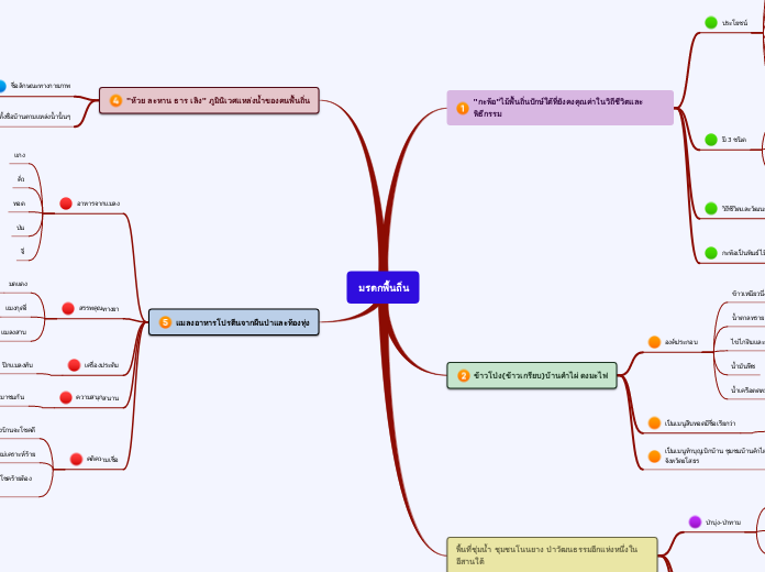 มรดกพื้นถิ่น - Mind Map