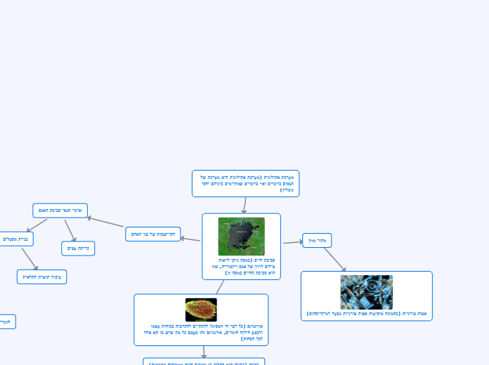 מערכת אקולוגית (מערכת אקולוגית היא מערכת ש...- Mind Map