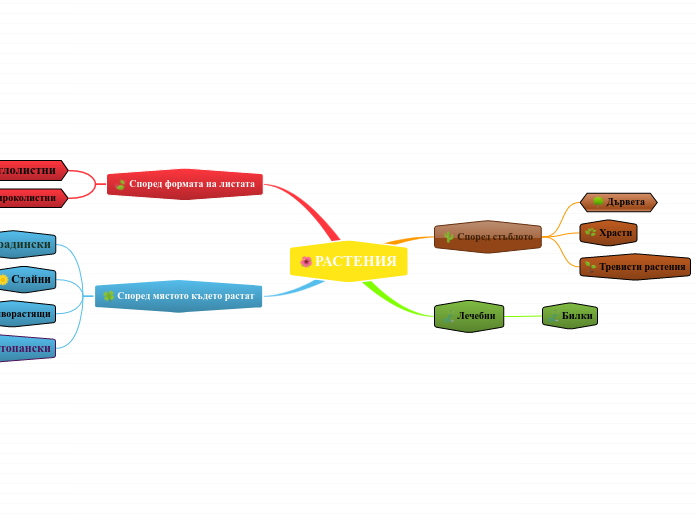 РАСТЕНИЯ - Mind Map